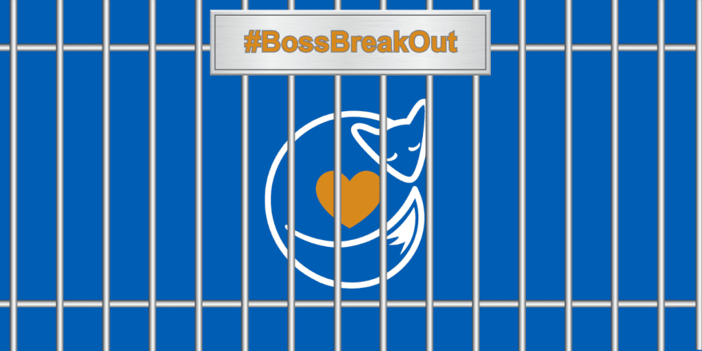 LBF charity 'break out' event will raise money  for Leicester's Hospitals