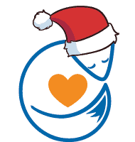 New santa hat fox